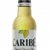 CARIBÉ 24 Case